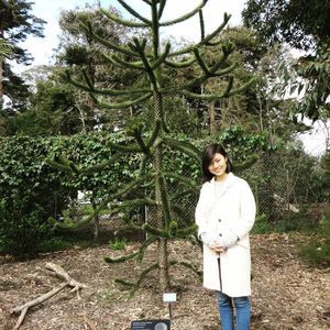 Meet your Posher, Huan